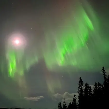 Modern With Beautiful Design By Galavatn * Gala